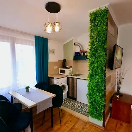 Apartmán Mountain *